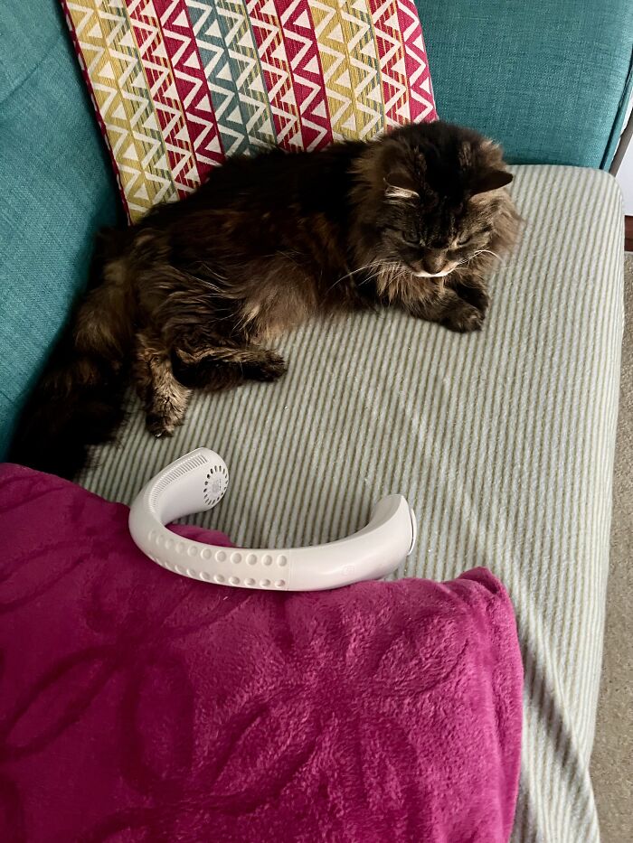 Hey Pandas, Share Your Most Recent Photo From Your Camera Roll That You’ve Taken (Closed) Hey Pandas, Share Your Most Recent Photo From Your Camera Roll That You’ve Taken (Closed)