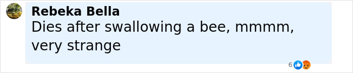 Prince William’s Billionaire Friend, 53, Suddenly Passes Away During Polo Match Prince William’s Billionaire Friend, 53, Suddenly Passes Away During Polo Match