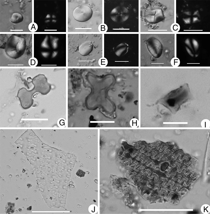 28 Times Archeologists Found Relics That Made Us Rethink History And Its Stories 28 Times Archeologists Found Relics That Made Us Rethink History And Its Stories