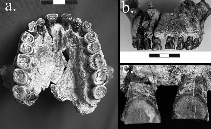 28 Times Archeologists Found Relics That Made Us Rethink History And Its Stories 28 Times Archeologists Found Relics That Made Us Rethink History And Its Stories