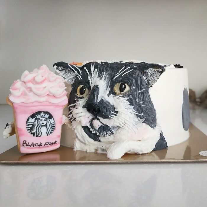 Artist Turns Pets Into Playful Cakes — And Here Are Their 80 Sweetest Creations Artist Turns Pets Into Playful Cakes — And Here Are Their 80 Sweetest Creations