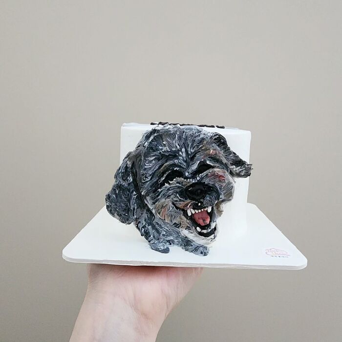 Artist Turns Pets Into Playful Cakes — And Here Are Their 80 Sweetest Creations Artist Turns Pets Into Playful Cakes — And Here Are Their 80 Sweetest Creations
