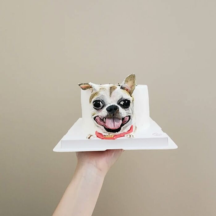 Artist Turns Pets Into Playful Cakes — And Here Are Their 80 Sweetest Creations Artist Turns Pets Into Playful Cakes — And Here Are Their 80 Sweetest Creations