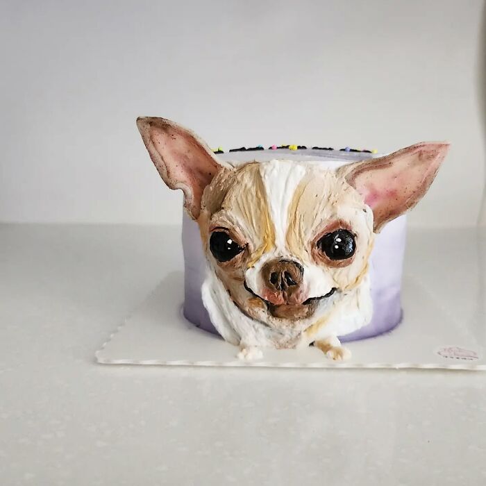 Artist Turns Pets Into Playful Cakes — And Here Are Their 80 Sweetest Creations Artist Turns Pets Into Playful Cakes — And Here Are Their 80 Sweetest Creations