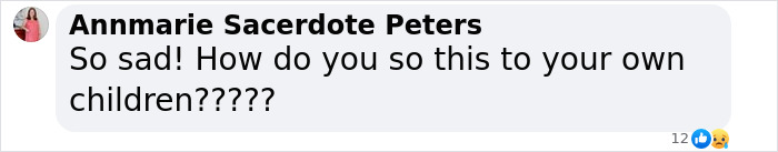 &#8220;What A Sick Guy&#8221;: People Are Stunned After &#8220;Not Human&#8221; Blood Found At Crime Scene Of 3 Daughters
