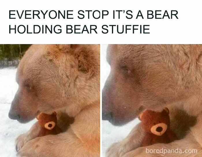 50 Funny And Uplifting Posts That Can Turn Any Frown Upside Down (New Pics) 50 Funny And Uplifting Posts That Can Turn Any Frown Upside Down (New Pics)