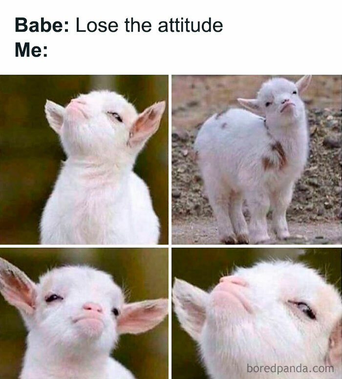 50 Funny And Uplifting Posts That Can Turn Any Frown Upside Down (New Pics) 50 Funny And Uplifting Posts That Can Turn Any Frown Upside Down (New Pics)