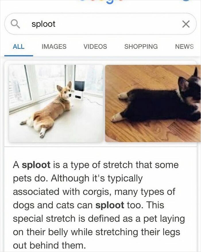 50 Funny And Uplifting Posts That Can Turn Any Frown Upside Down (New Pics) 50 Funny And Uplifting Posts That Can Turn Any Frown Upside Down (New Pics)