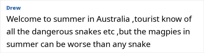 Woman Knocked Unconscious By Bird Reveals Insurance Company Denied Coverage Over 1 Key Detail Woman Knocked Unconscious By Bird Reveals Insurance Company Denied Coverage Over 1 Key Detail
