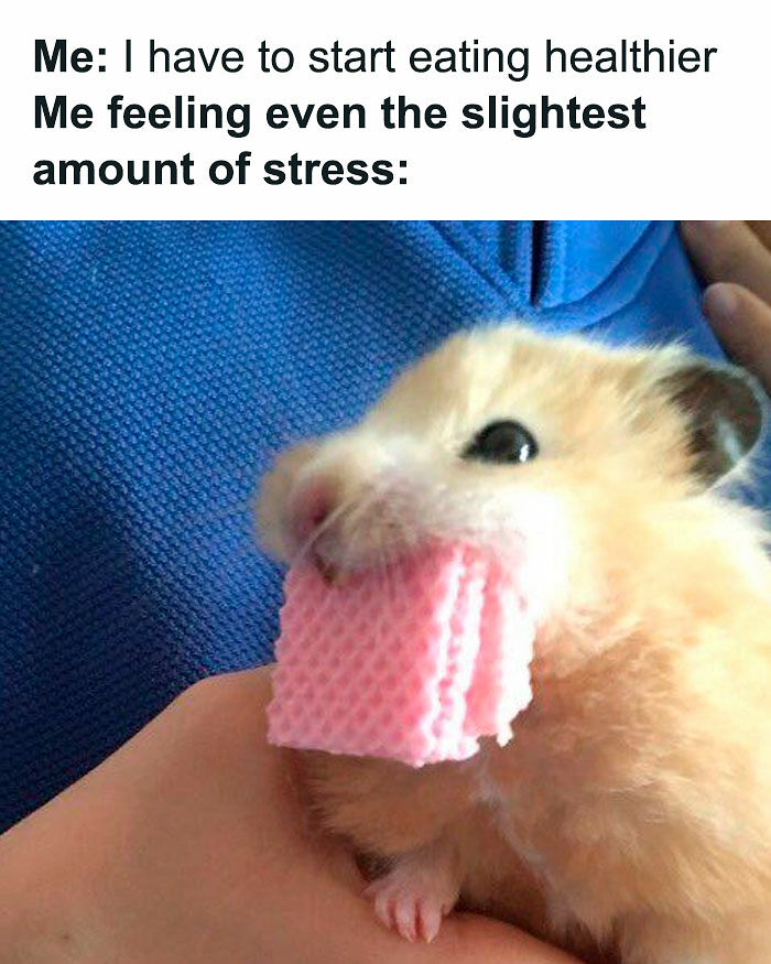 50 Funny Memes From ‘Sarcasm Daily’ That Might Help You Forget Your To-Do List (New Pics) 50 Funny Memes From ‘Sarcasm Daily’ That Might Help You Forget Your To-Do List (New Pics)