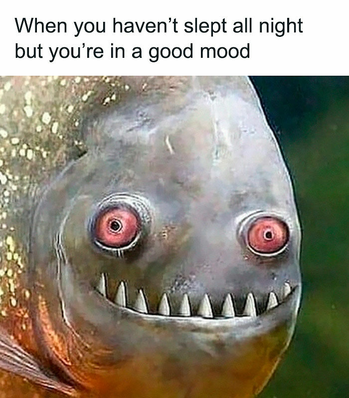 50 Funny Memes From ‘Sarcasm Daily’ That Might Help You Forget Your To-Do List (New Pics) 50 Funny Memes From ‘Sarcasm Daily’ That Might Help You Forget Your To-Do List (New Pics)