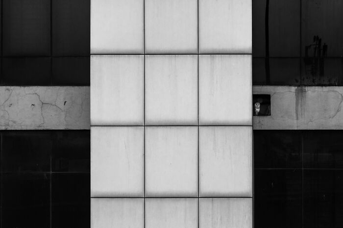 60 Stunning Winning Images From Nature Photographer Of The Year 2025 60 Stunning Winning Images From Nature Photographer Of The Year 2025