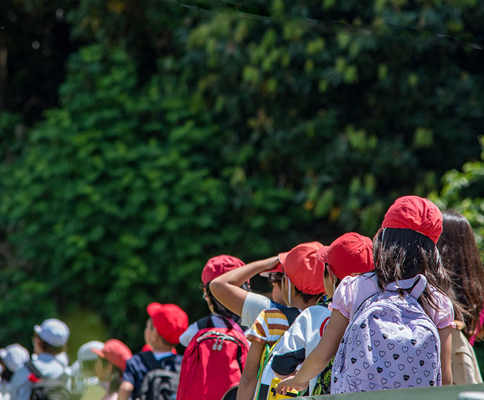 Grizzly Bear Attacks Class Of Kids, Who Are Left Desperately Fighting For Their Lives Grizzly Bear Attacks Class Of Kids, Who Are Left Desperately Fighting For Their Lives