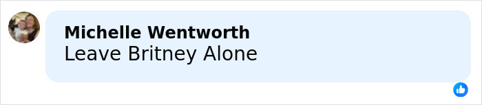 Britney Spears Looks Unrecognizable Leaving A Bar As Her Family Desperately Asks For Help