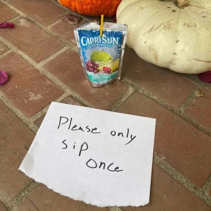 80 Entertaining Posts And Memes To Help Fight Boredom And Sadness