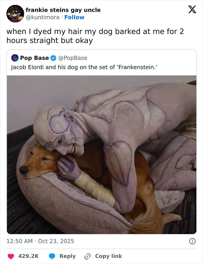 80 Entertaining Posts And Memes To Help Fight Boredom And Sadness