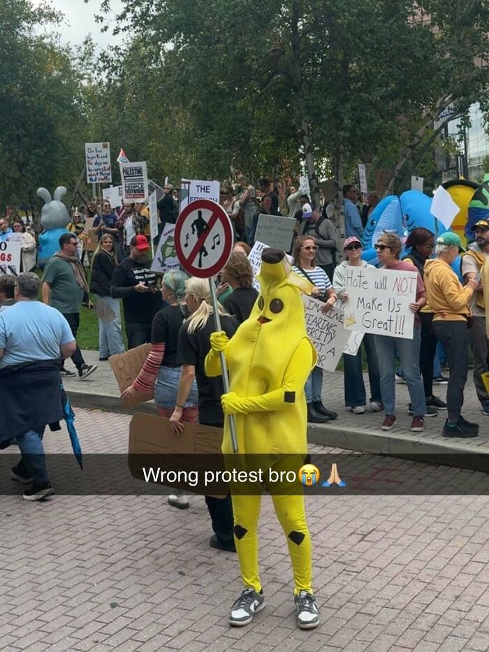 80 Entertaining Posts And Memes To Help Fight Boredom And Sadness