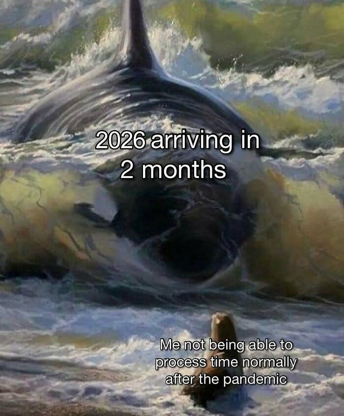 80 Entertaining Posts And Memes To Help Fight Boredom And Sadness