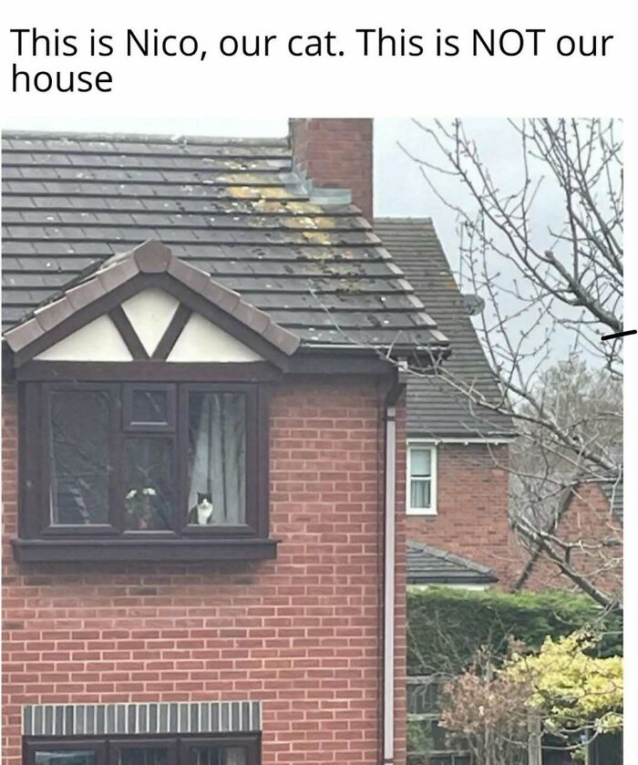 80 Entertaining Posts And Memes To Help Fight Boredom And Sadness