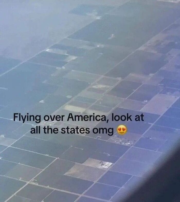 80 Entertaining Posts And Memes To Help Fight Boredom And Sadness