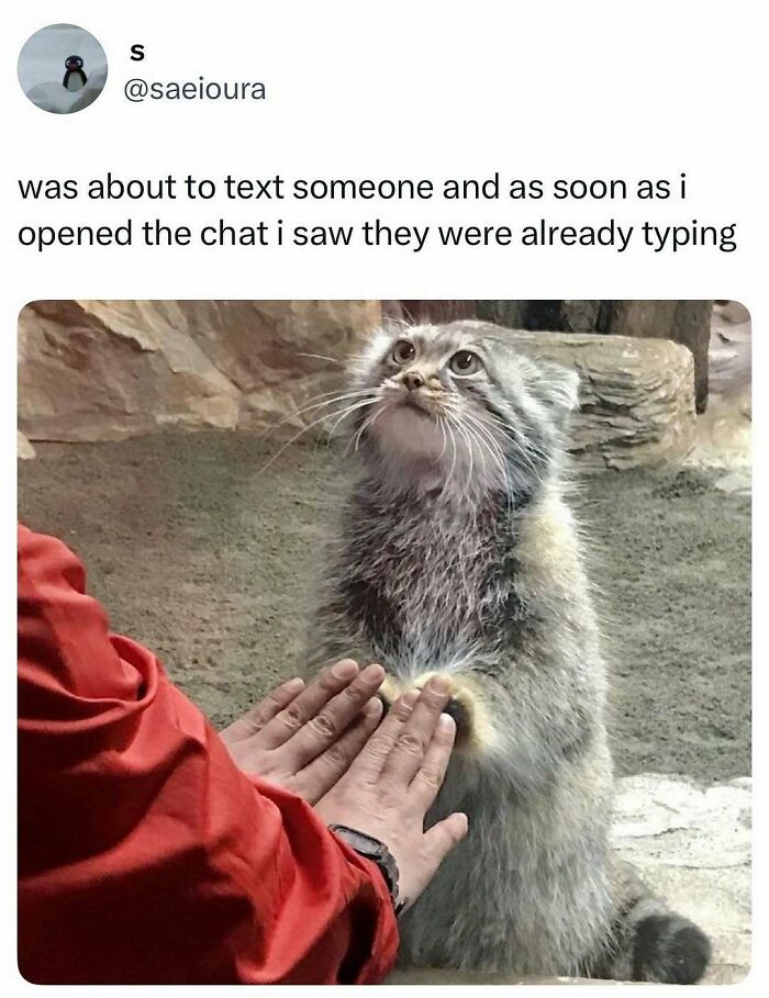 80 Entertaining Posts And Memes To Help Fight Boredom And Sadness