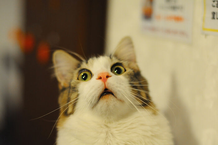 People Are Sharing 63 Cases Of The “Butterfly Effect” Happening In Real Life