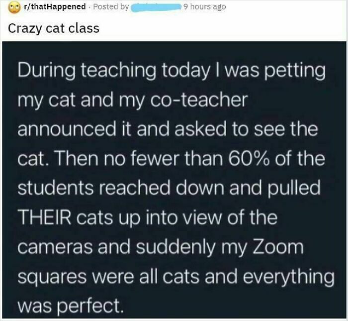 This Online Group Call Out People Who Question Every Story And Never Believe Anything