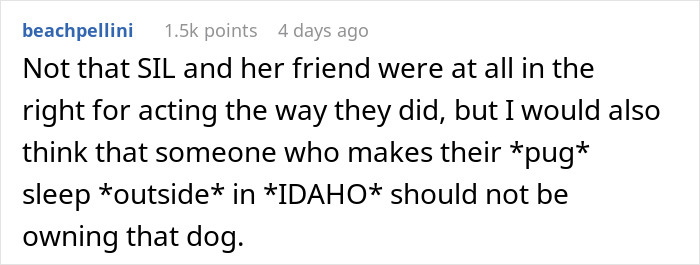 Sister Hates How Woman Treats Her Pug, Decides To Gift Him Away In Secret: “What Can We Do About It?” Sister Hates How Woman Treats Her Pug, Decides To Gift Him Away In Secret: “What Can We Do About It?”