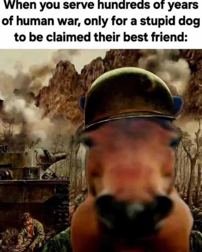 66 Hilarious History Memes That Deserve Their Own Museum Exhibit 66 Hilarious History Memes That Deserve Their Own Museum Exhibit