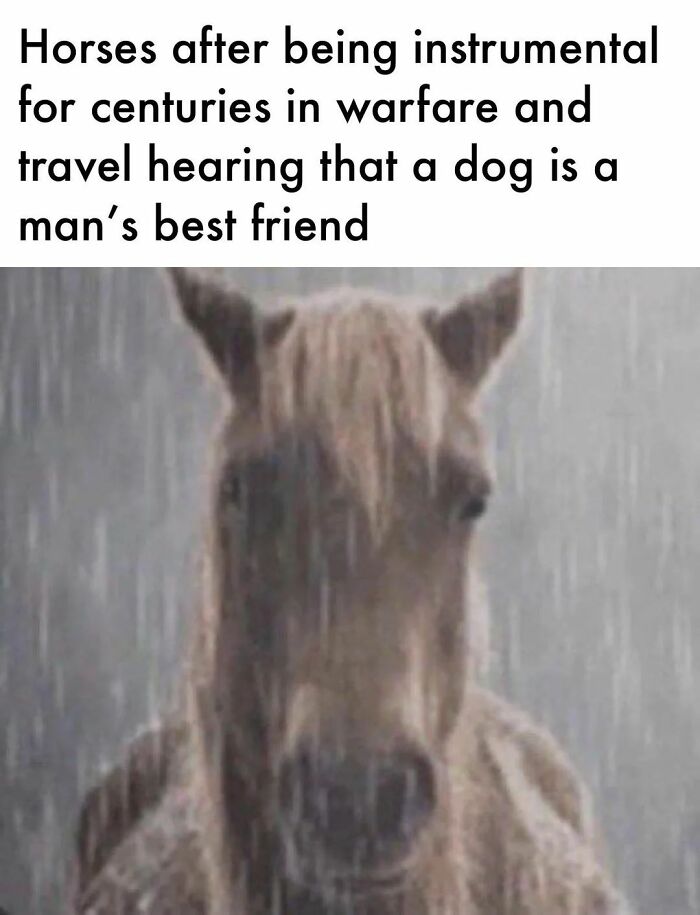 66 Hilarious History Memes That Deserve Their Own Museum Exhibit 66 Hilarious History Memes That Deserve Their Own Museum Exhibit