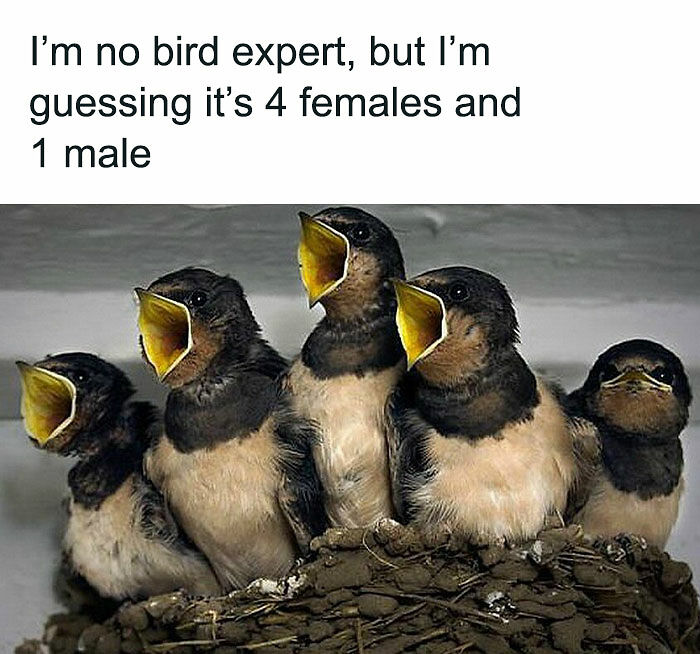 58 Cringe-Worthy Takes On Women That May Make You Question Humanity (New Pics)