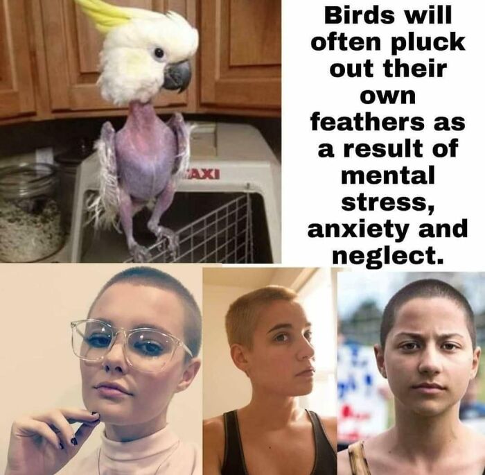 58 Cringe-Worthy Takes On Women That May Make You Question Humanity (New Pics)