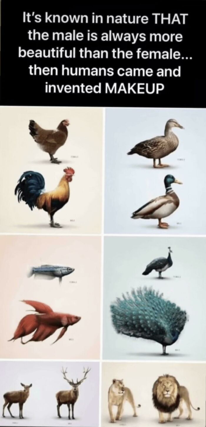 58 Cringe-Worthy Takes On Women That May Make You Question Humanity (New Pics)