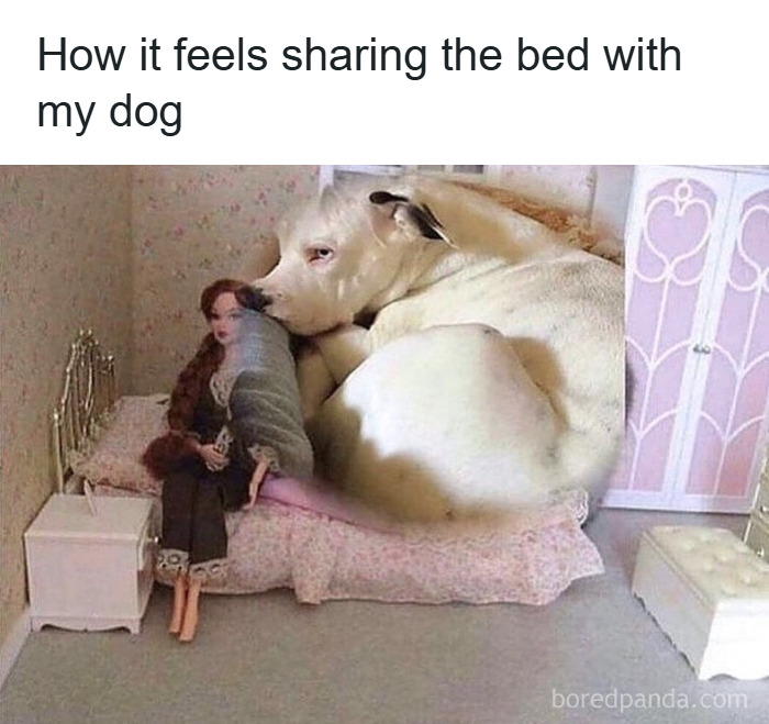 72 Random Memes That Might Remind You That You’ve Never Had A Single Unique Experience 72 Random Memes That Might Remind You That You’ve Never Had A Single Unique Experience