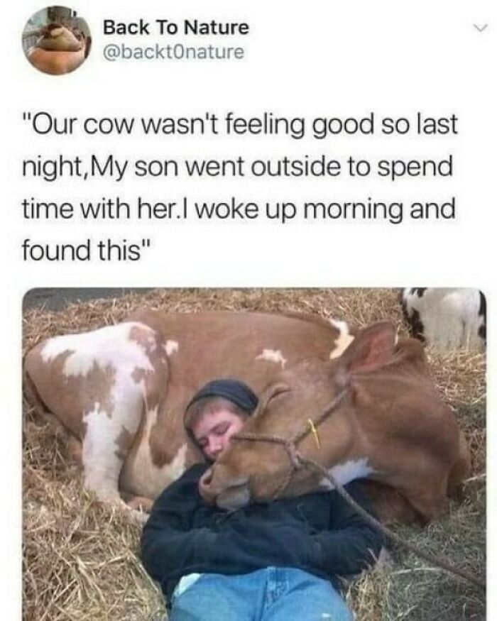 72 Random Memes That Might Remind You That You’ve Never Had A Single Unique Experience 72 Random Memes That Might Remind You That You’ve Never Had A Single Unique Experience