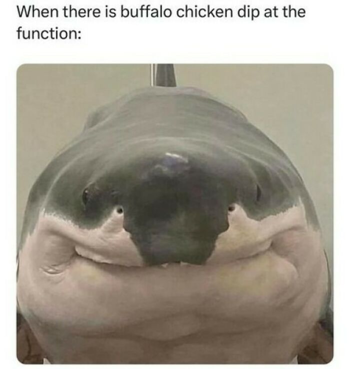 72 Random Memes That Might Remind You That You’ve Never Had A Single Unique Experience 72 Random Memes That Might Remind You That You’ve Never Had A Single Unique Experience