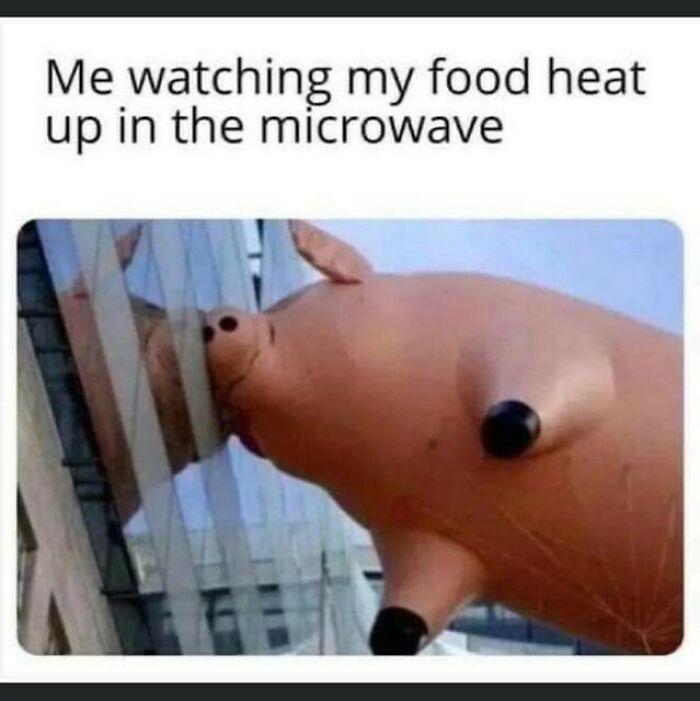 72 Random Memes That Might Remind You That You’ve Never Had A Single Unique Experience 72 Random Memes That Might Remind You That You’ve Never Had A Single Unique Experience