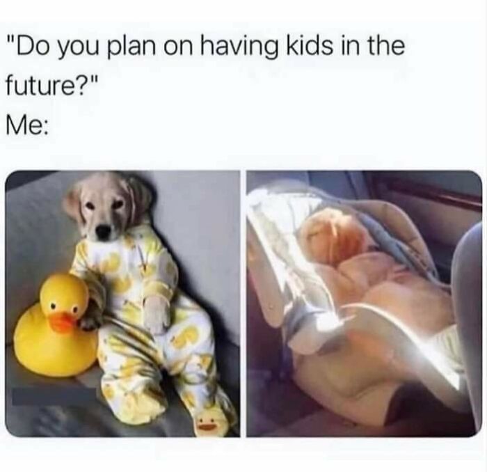 72 Random Memes That Might Remind You That You’ve Never Had A Single Unique Experience 72 Random Memes That Might Remind You That You’ve Never Had A Single Unique Experience