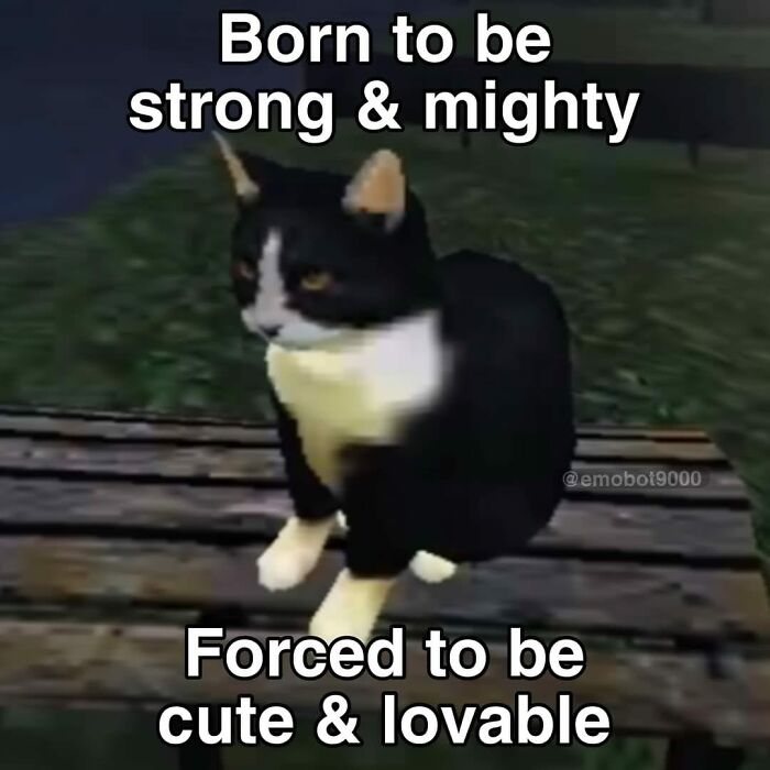 45 Times Animals Were Both Wholesome And Ridiculously Funny, Shared In This Facebook Group (New Pics) 45 Times Animals Were Both Wholesome And Ridiculously Funny, Shared In This Facebook Group (New Pics)