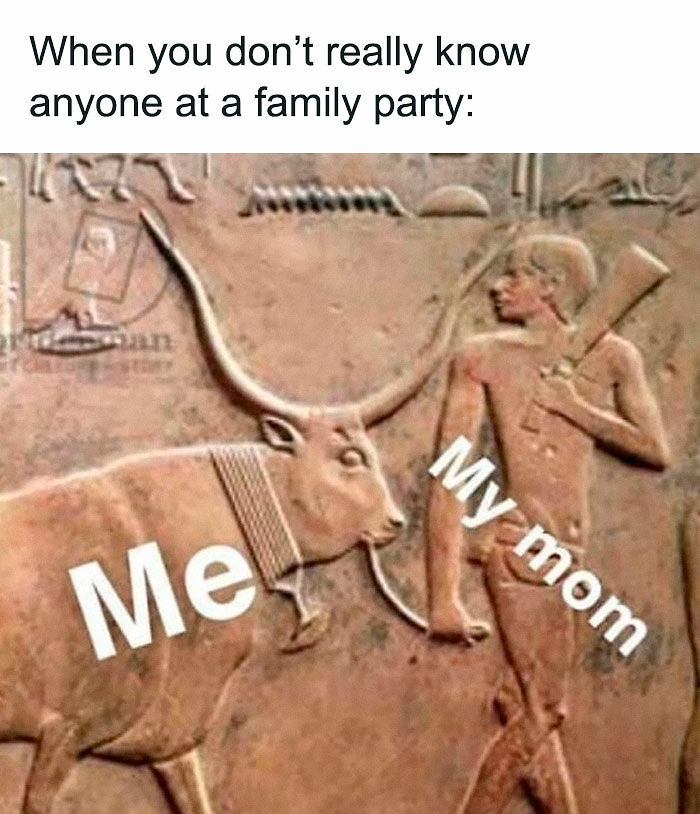 75 Hilarious Ancient Egypt Memes You Don’t Need To Know Hieroglyphics To Understand 75 Hilarious Ancient Egypt Memes You Don’t Need To Know Hieroglyphics To Understand