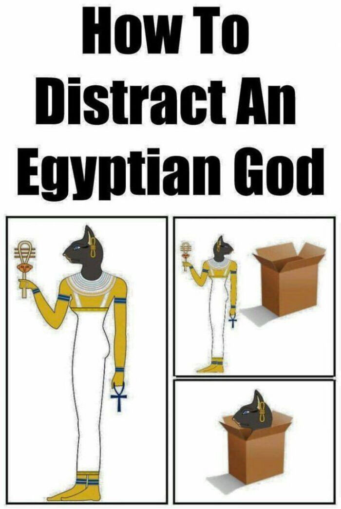 75 Hilarious Ancient Egypt Memes You Don’t Need To Know Hieroglyphics To Understand 75 Hilarious Ancient Egypt Memes You Don’t Need To Know Hieroglyphics To Understand