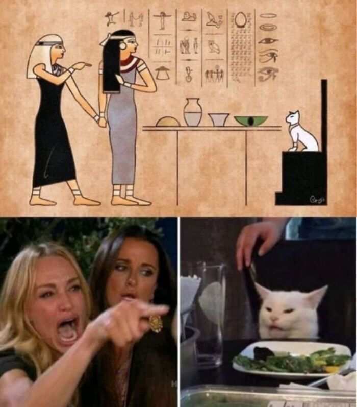 75 Hilarious Ancient Egypt Memes You Don’t Need To Know Hieroglyphics To Understand 75 Hilarious Ancient Egypt Memes You Don’t Need To Know Hieroglyphics To Understand