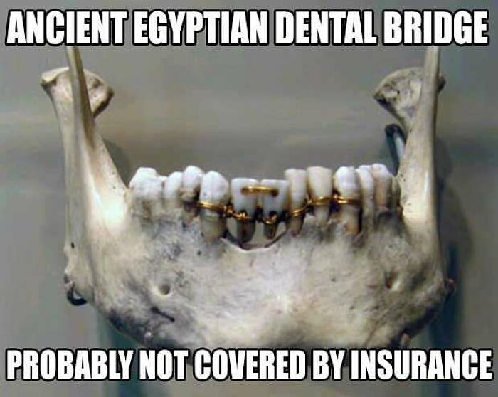 75 Hilarious Ancient Egypt Memes You Don’t Need To Know Hieroglyphics To Understand 75 Hilarious Ancient Egypt Memes You Don’t Need To Know Hieroglyphics To Understand