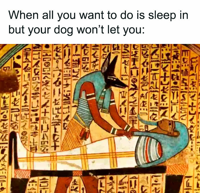 75 Hilarious Ancient Egypt Memes You Don’t Need To Know Hieroglyphics To Understand 75 Hilarious Ancient Egypt Memes You Don’t Need To Know Hieroglyphics To Understand