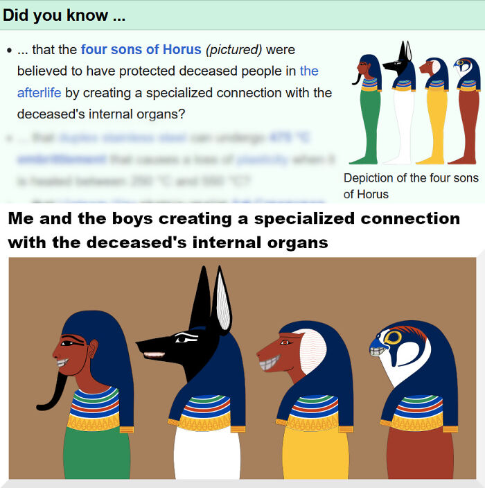 75 Hilarious Ancient Egypt Memes You Don’t Need To Know Hieroglyphics To Understand 75 Hilarious Ancient Egypt Memes You Don’t Need To Know Hieroglyphics To Understand