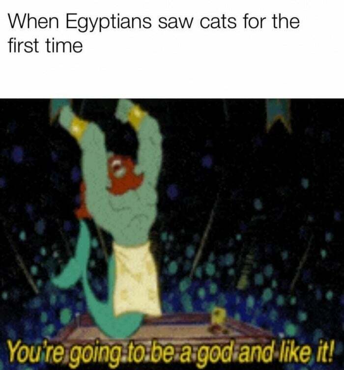 75 Hilarious Ancient Egypt Memes You Don’t Need To Know Hieroglyphics To Understand 75 Hilarious Ancient Egypt Memes You Don’t Need To Know Hieroglyphics To Understand