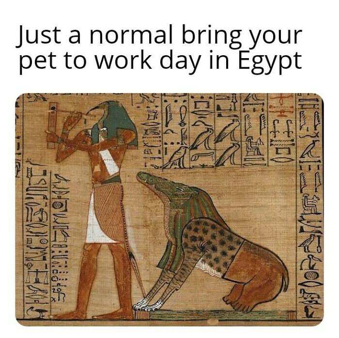 75 Hilarious Ancient Egypt Memes You Don’t Need To Know Hieroglyphics To Understand 75 Hilarious Ancient Egypt Memes You Don’t Need To Know Hieroglyphics To Understand