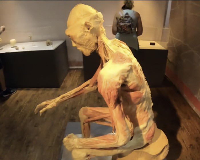 Mom’s Stunning Claim That Skinned Body In Las Vegas Museum Is Her Son Divides The Internet Mom’s Stunning Claim That Skinned Body In Las Vegas Museum Is Her Son Divides The Internet