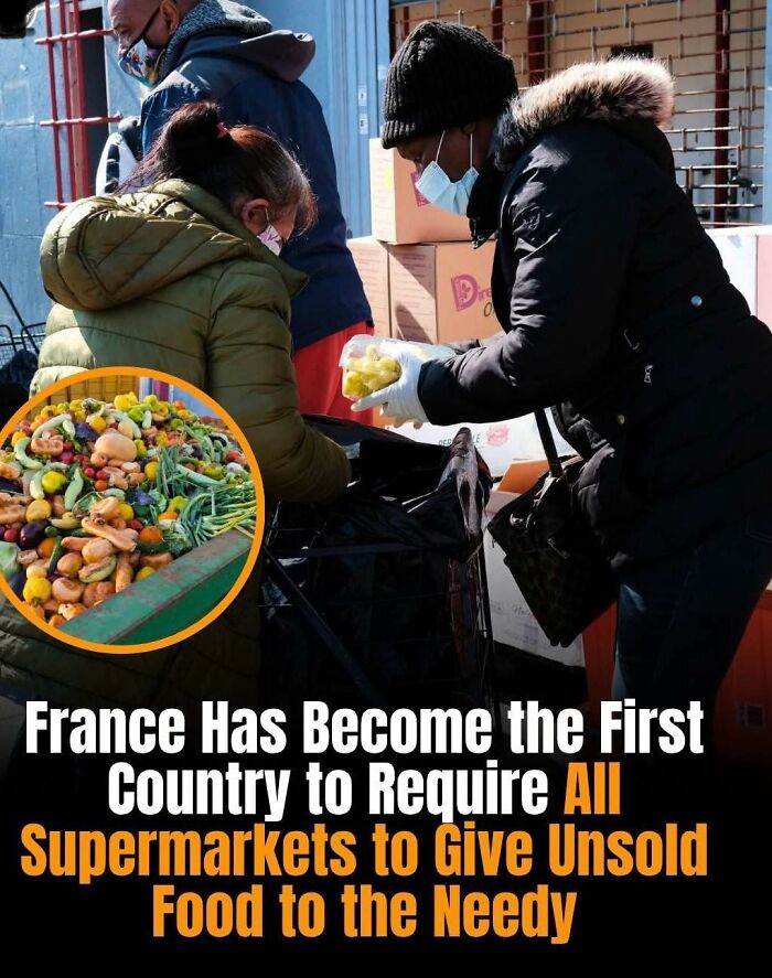 If You Like Learning About New Things, You Might Enjoy These 73 Facts If You Like Learning About New Things, You Might Enjoy These 73 Facts