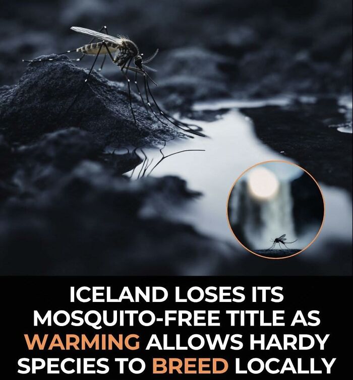 If You Like Learning About New Things, You Might Enjoy These 73 Facts If You Like Learning About New Things, You Might Enjoy These 73 Facts